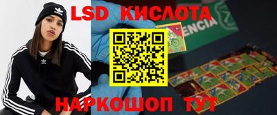 индика Дубна