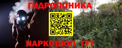 индика Дубна