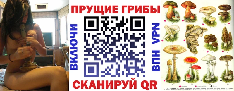 Псилоцибиновые грибы Cubensis Реутов
