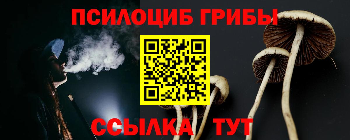 Псилоцибиновые грибы ЛСД Реутов